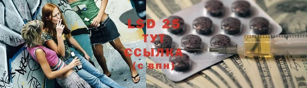 молекула духа Медвежьегорск