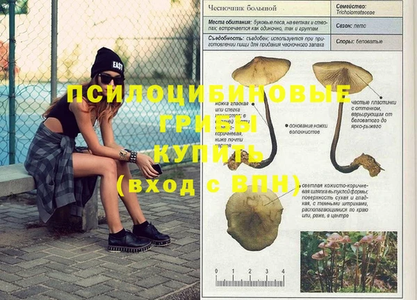 стафф Михайловка