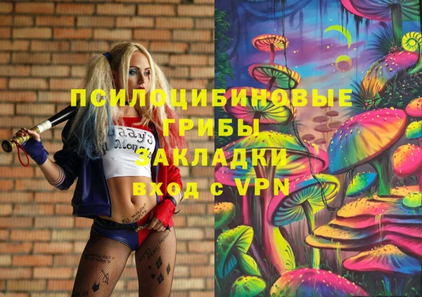 молекула духа Медвежьегорск