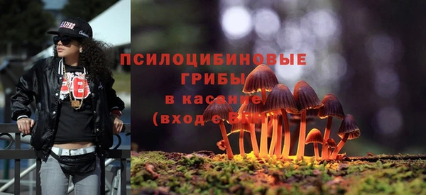 гидра Хадыженск