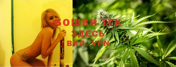 ECSTASY Михайлов