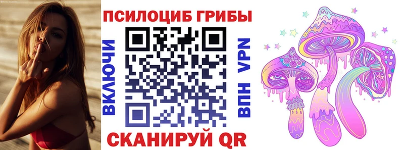 Галлюциногенные грибы Cubensis  купить   Лысьва 