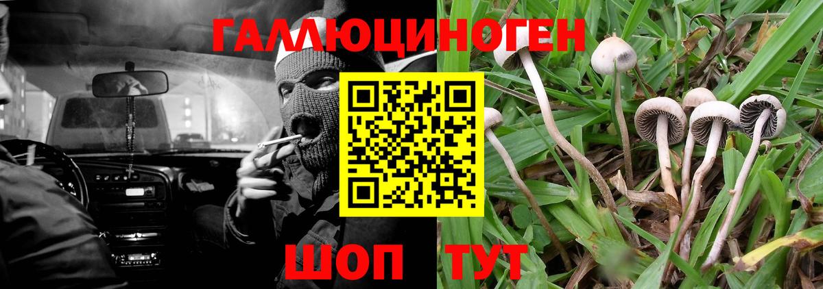 Псилоцибиновые грибы мухоморы Лысьва